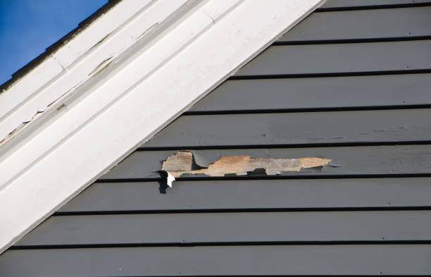 Trusted Chester, MD Junk Removal Experts